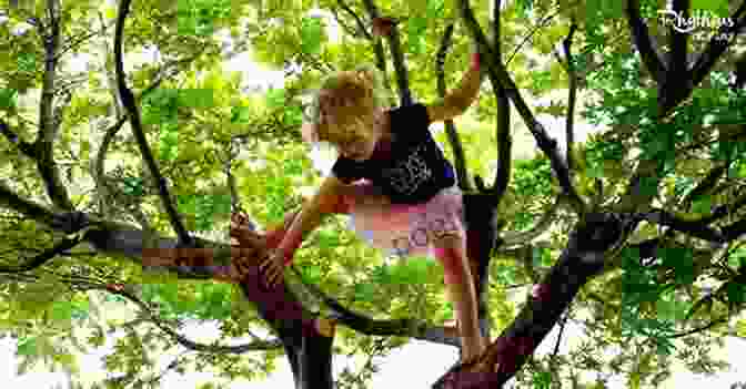 A Child Climbing A Tree 50 Dangerous Things (You Should Let Your Children Do)