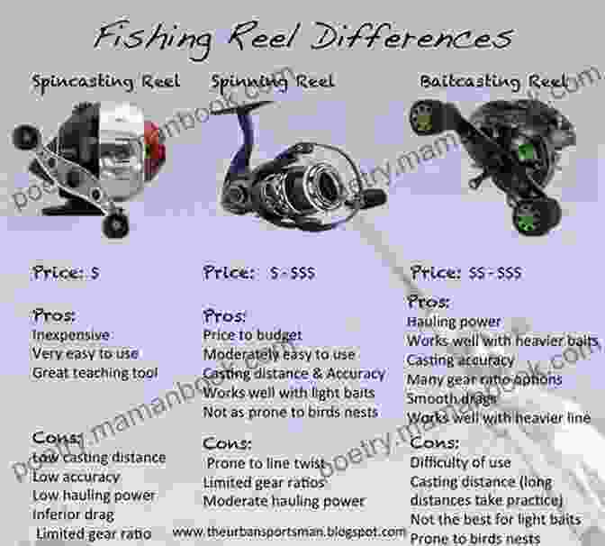 A Close Up Of Various Fishing Gear Components, Including Rods, Reels, Lures, Hooks, And Line Basic Fishing: A Beginner S Guide