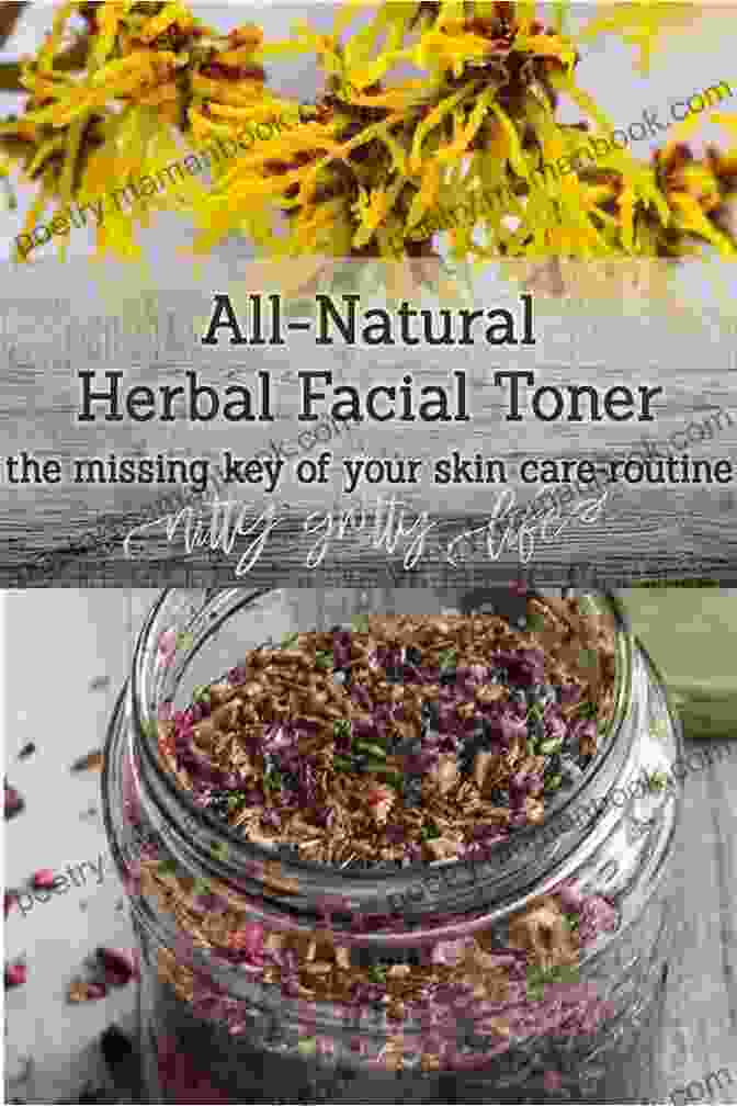 A Homemade Toner Made With Green Tea, Witch Hazel, And Aloe Vera The Big Of Homemade Products For Your Skin Health And Home: Easy All Natural DIY Projects Using Herbs Flowers And Other Plants