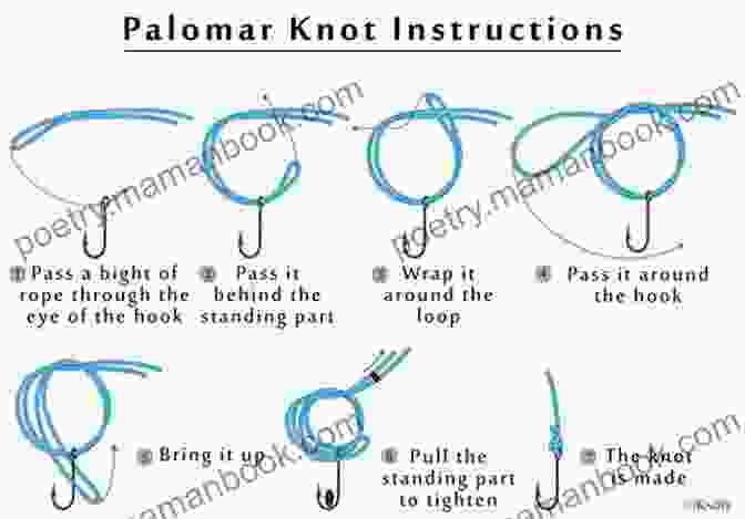 A Step By Step Guide To Tying The Palomar Knot, Used To Connect The Line To The Hook Basic Fishing: A Beginner S Guide