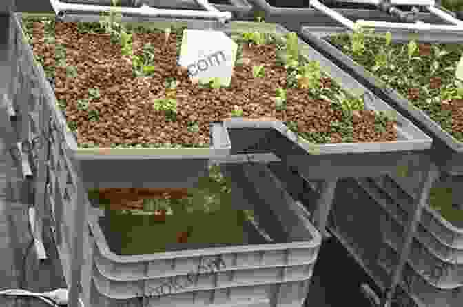 Aquaponics Farm Plan With Fish Tank, Grow Bed, And Filtration System Compact Farms: 15 Proven Plans For Market Farms On 5 Acres Or Less Includes Detailed Farm Layouts For Productivity And Efficiency