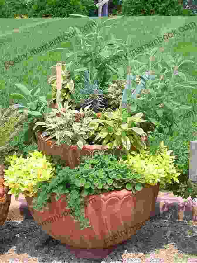 Container Gardening With Vegetables And Herbs Vertical Gardening: Grow Up Not Out For More Vegetables And Flowers In Much Less Space
