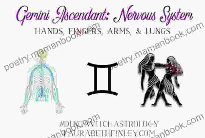 Gemini Zodiac Sign And Arms, Hands, And Nervous System Medical Astrology: Zodiac Signs In The Human Body