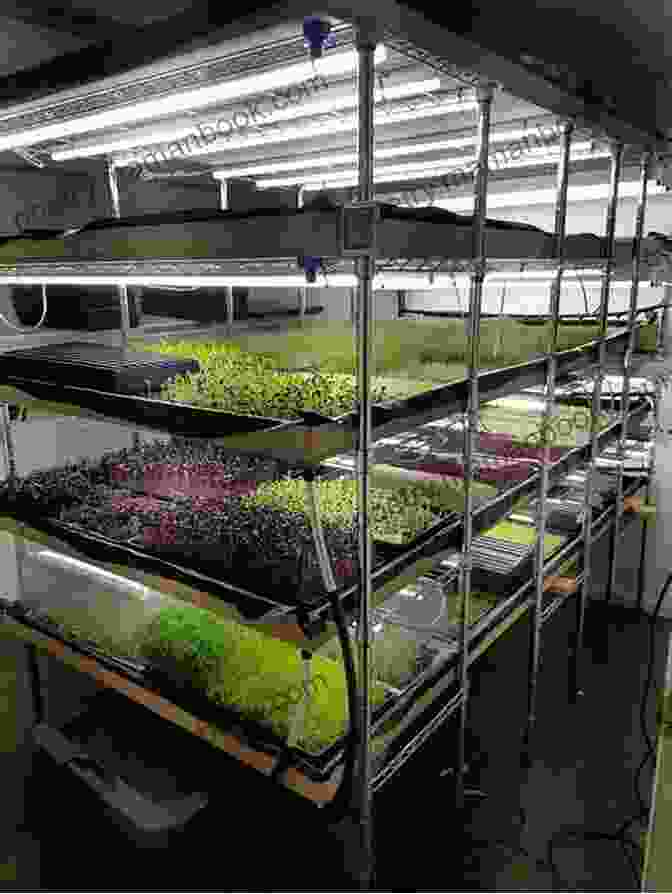 Micro Greens Farm Plan With Vertical Growing Systems Compact Farms: 15 Proven Plans For Market Farms On 5 Acres Or Less Includes Detailed Farm Layouts For Productivity And Efficiency