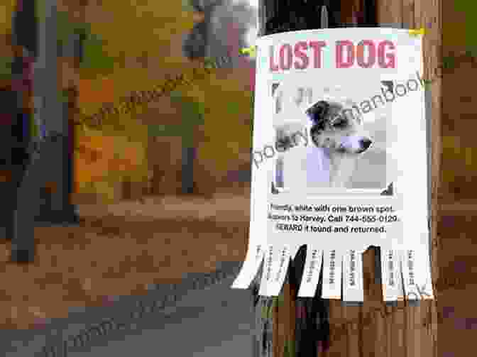 Missing Dog Posters Scattered Across The Neighborhood, Depicting The Urgency Of Ada's Mission Ada Twist And The Disappearing Dogs: (The Questioneers #5)
