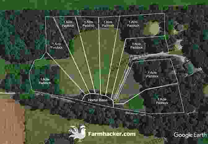Pig Farm Plan With Barn, Pasture, And Slaughterhouse Compact Farms: 15 Proven Plans For Market Farms On 5 Acres Or Less Includes Detailed Farm Layouts For Productivity And Efficiency