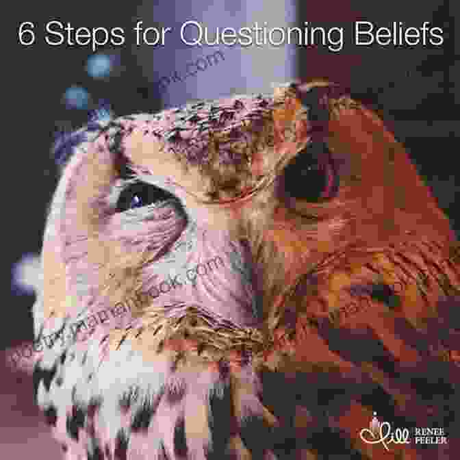 Questioning Beliefs: A Step Towards Truth Insights: Steps To Truth Mitra Politi