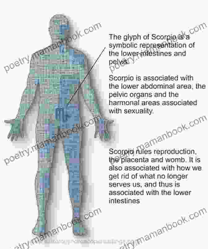 Scorpio Zodiac Sign And Reproductive Organs, Bladder, And Immune System Medical Astrology: Zodiac Signs In The Human Body