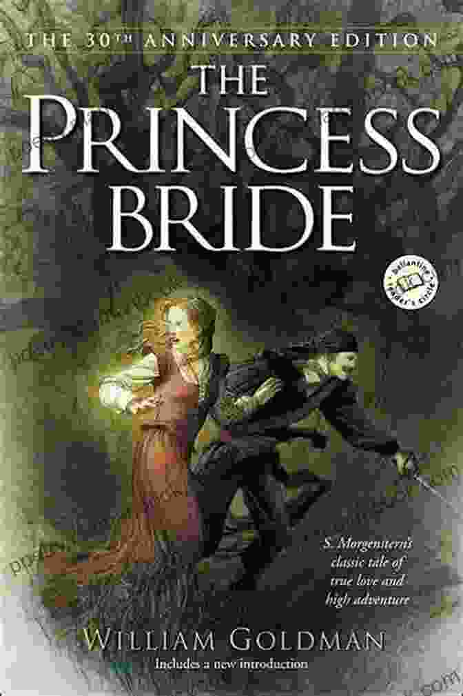 The Princess Bride Book Cover The Blue Fairytales: The Enchanted Tales Of Fantastic Magical Adventures