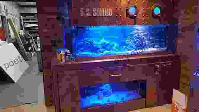 The Sub In The Fish Tank: Submarine Navigating An Aquarium Filled With Colorful Fish And Coral Reefs The Sub In The Fish Tank Chapter Book: Sound Out Phonics Help Developing Readers Including Students With Dyslexia Learn To Read (Step 3 In A Systematic Books) (DOG ON A LOG Chapter 15)
