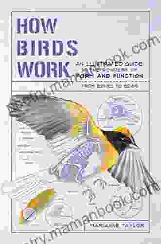 How Birds Work: An Illustrated Guide To The Wonders Of Form And Function From Bones To Beak (How Nature Works)