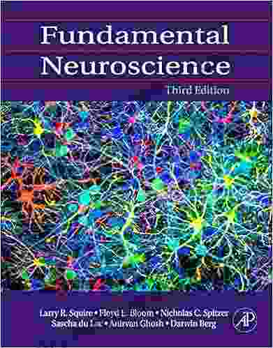 Fundamental Neuroscience Larry R Squire