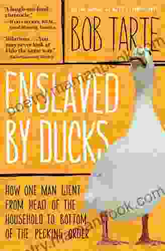 Enslaved By Ducks: How One Man Went From Head Of The Household To Bottom Of The Pecking Order