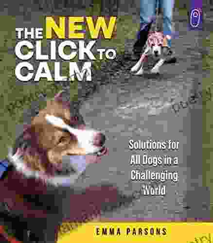 The New Click To Calm
