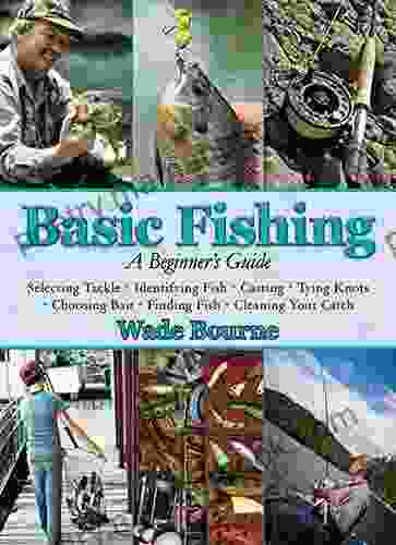 Basic Fishing: A Beginner S Guide