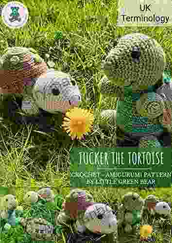 Tucker The Tortoise: Crochet Amigurumi Pattern UK Terminology